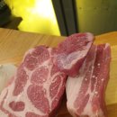 도야진가