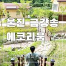 금강송에코리움(찜질방) 이미지