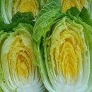 하늘아래첫농장 이미지