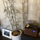 COFFEE MIMI(커피미미) 이미지