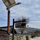 아산시민문화복지센터 | 경기도 근교 나들이｜살아있는 과거, 아산외암마을 (입장료, 주차, 봄꽃 개화)
