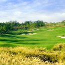 파인스크린골프 이미지