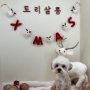 토리살롱 이미지