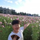 제천농협주유소 이미지