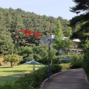 호수공원 축구장옆 이미지