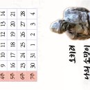 성경
