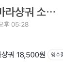 명동머드 이미지