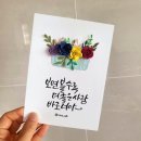 무아캘리그라피 이미지