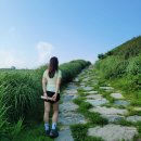 합천 아마존 오토캠핑장 | 합천 황매산 베틀봉 등산코스 산청 황매산 미리내파크 오토캠핑장 경남 여행 가볼만한 곳