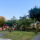 세이백화점 개방화장실 이미지