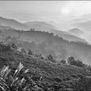 베스트목장 이미지