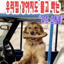 드림디포부산문구