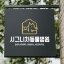 아이지디자인 이미지