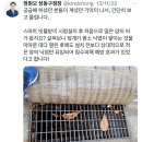 평소엔 닫혀있다 비 올때만 열리는 스마트 배수로.twt 이미지