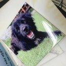 승화농장 이미지