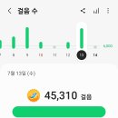 낙동강변13 이미지