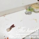 정림마트 이미지