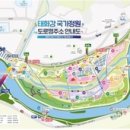 느티나무길 이미지