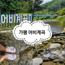 8/1(토) 가평 어비계곡물놀이 이미지