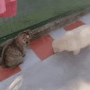 방가방가PC방 이미지