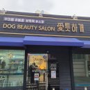 애틋하개 이미지