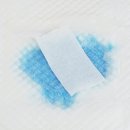 요술강아지 이미지