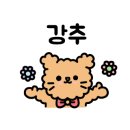 쌈돈 이미지