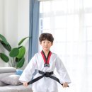 액티브경희태권도장 이미지