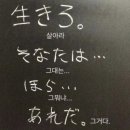 마운틴 스테이 이미지