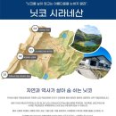 🏔️ 청주출발 일본 트래킹 여행 🇯🇵 이미지