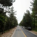 천년의 숲 화장실 이미지