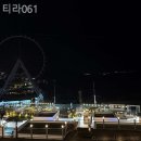 티라061 이미지
