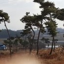 금마조경 이미지