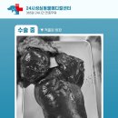 성심동물의료센터 이미지