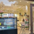 펫소울메이트 이미지