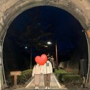 [강원도_강릉] 강릉여행 기록(2023년 11월)
