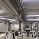 다비드 짐 이미지