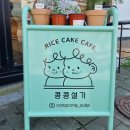 콩콩설기 이미지