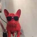 킴방울뷰티