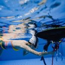 학생수영장 | 청주 충청북도학생수영장 프리다이빙 연습 체험 후기