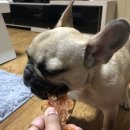 덕봉이네 닭