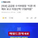 미정 이미지