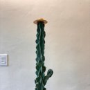 하양송송제빵소