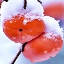 감나무골집 이미지