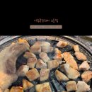 시집못간돼지2