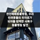 베베동물병원 이미지