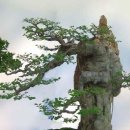 주)밝은마음 이미지