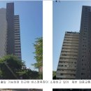 더포레스트힐 이미지