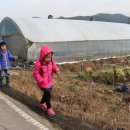 8살 병건이 6살 유이와 함께 걸어간 흑석에서 방동까지 한계극복 도보길~! 이미지