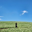 중천농장 이미지